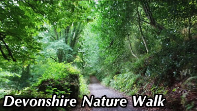 Devonshire Nature Walk